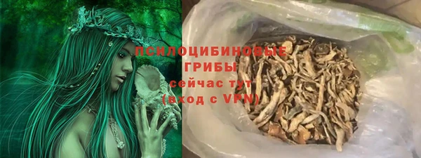 дживик Баксан