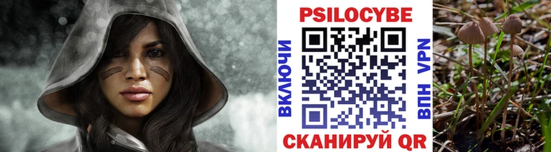 Псилоцибиновые грибы ЛСД где купить наркоту Лебедянь